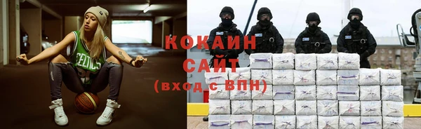 гидра Заводоуковск
