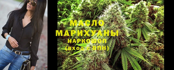 гидра Заводоуковск