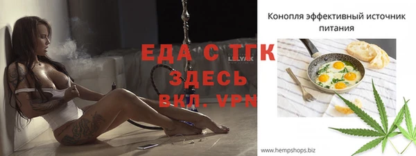 гидра Заводоуковск