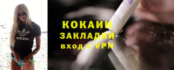 гидра Заводоуковск