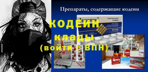 гидра Заводоуковск