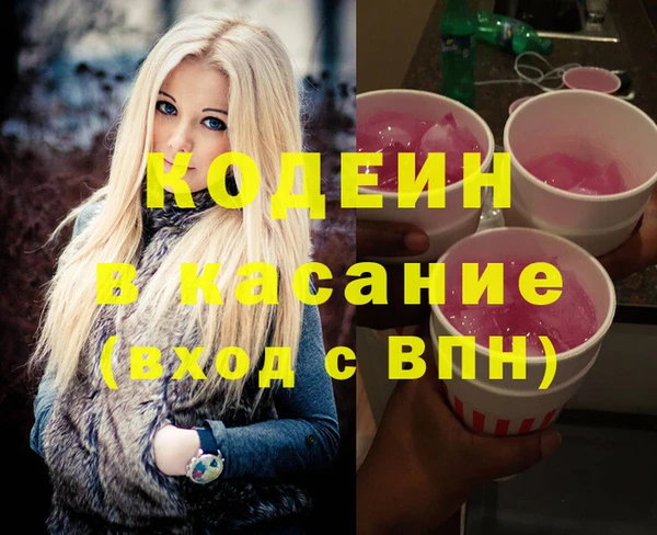 гидра Заводоуковск