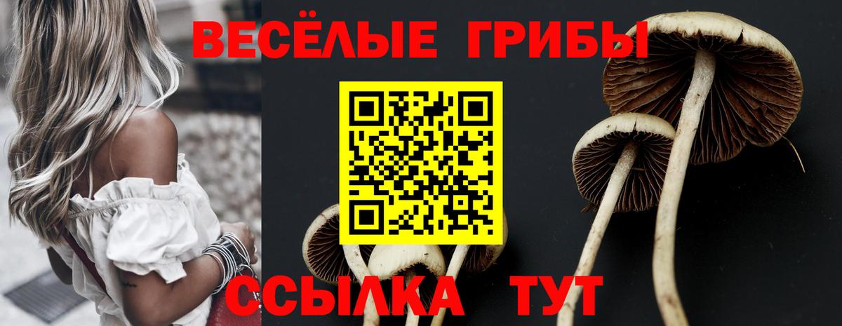 Галлюциногенные грибы Magic Shrooms  Вход с VPN  даркнет сайт  Сорочинск 